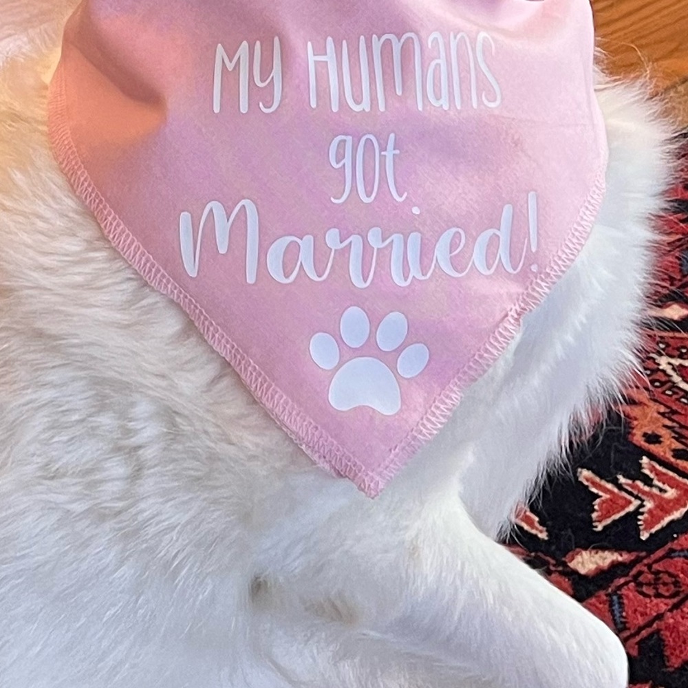 My Humans Got Married Dog Bandana- Pink